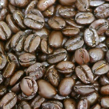 コーヒー豆写真