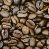 コーヒー豆写真