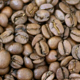 �R�[�q�[���ʐ^