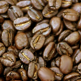 �R�[�q�[���ʐ^